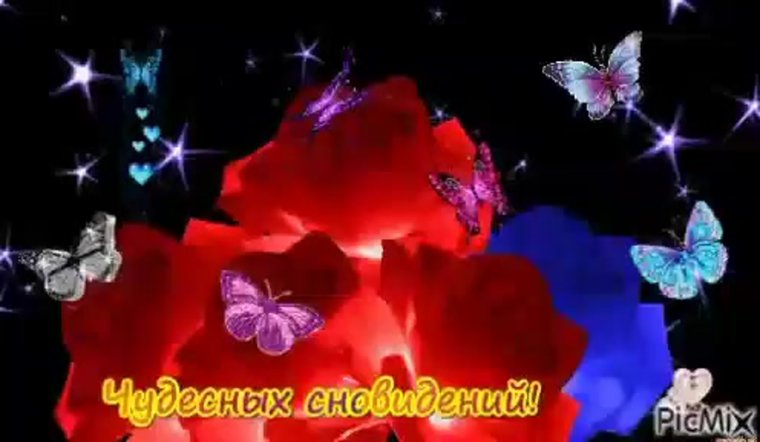 Мерцающие цветы спокойной ночи.