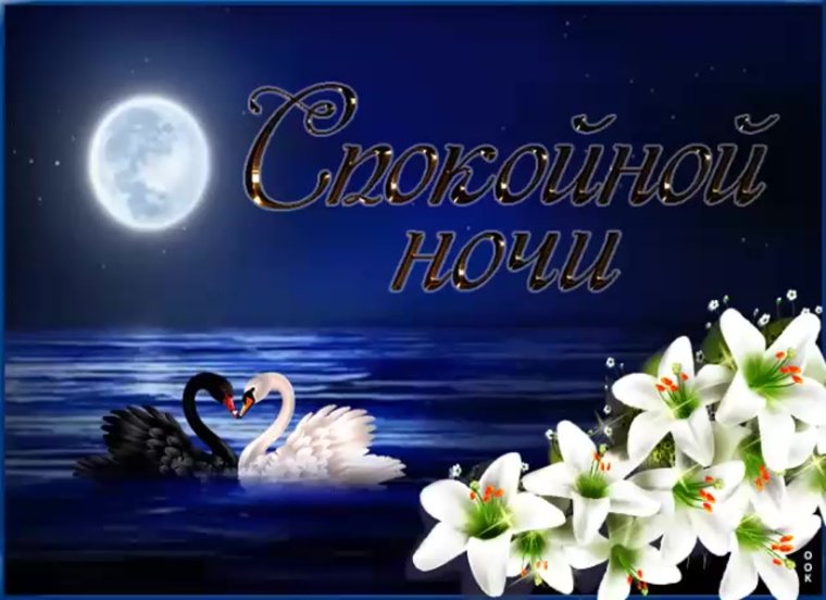 Доброй ночи Галина