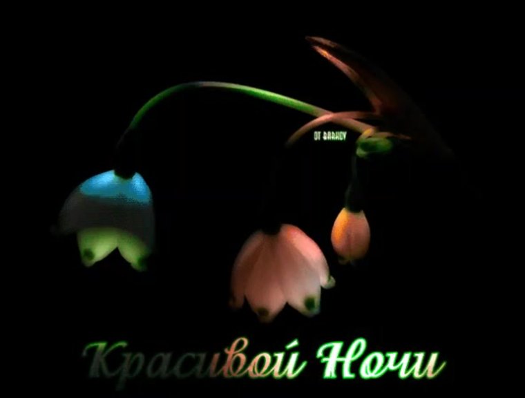 Спокойной ночи гиф красивые