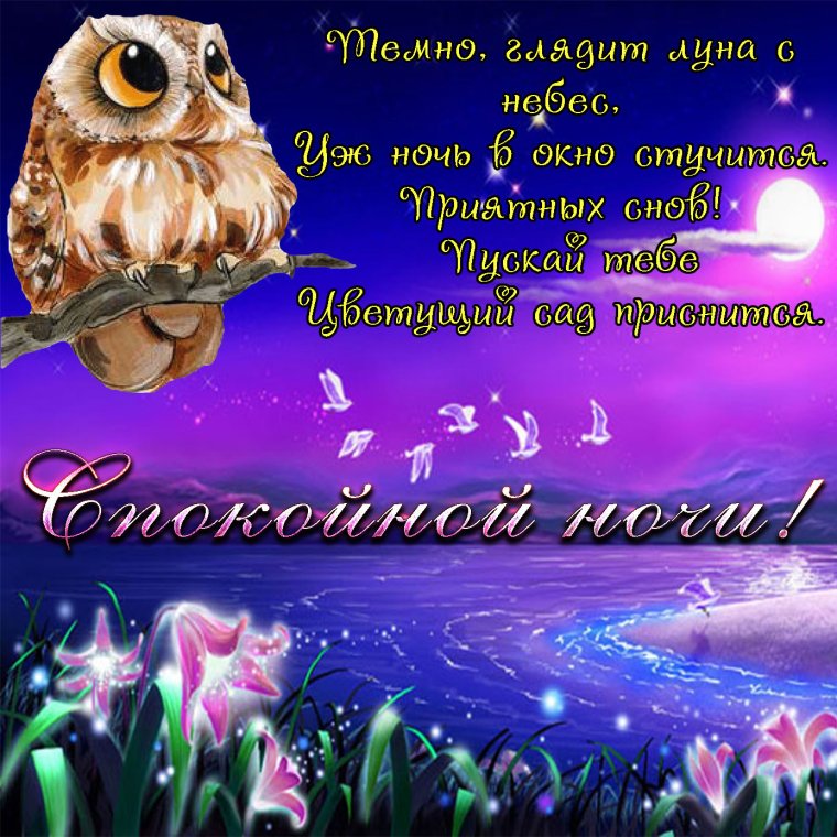 Добрый вечер спокойной ночи приятных снов
