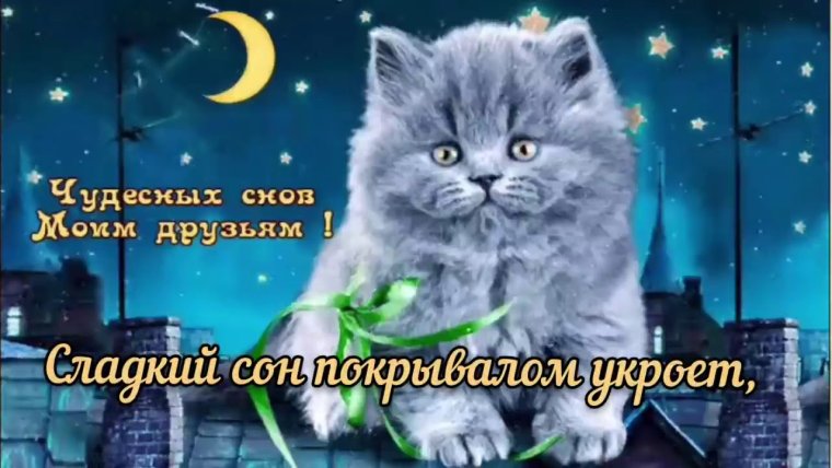Доброго вечера и спокойной ночи