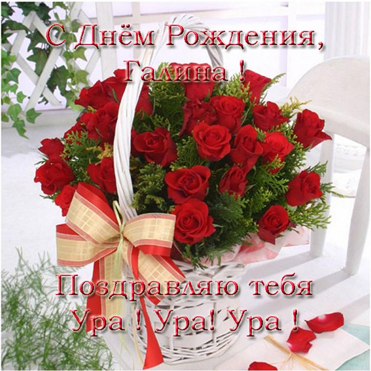 С днём рождения Галина
