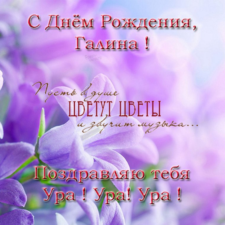 Поздравление цветы картинки