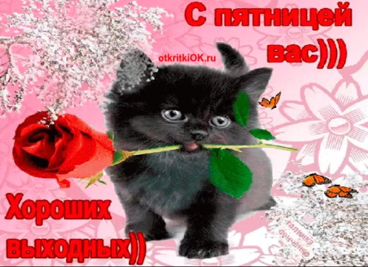 Поздравление с пятницей прикольные в картинках