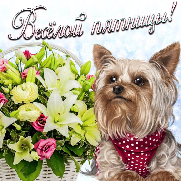 Пятница открытки красивые