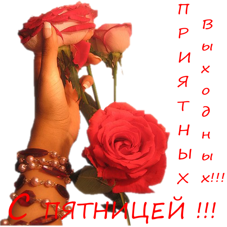 С днем пятницы