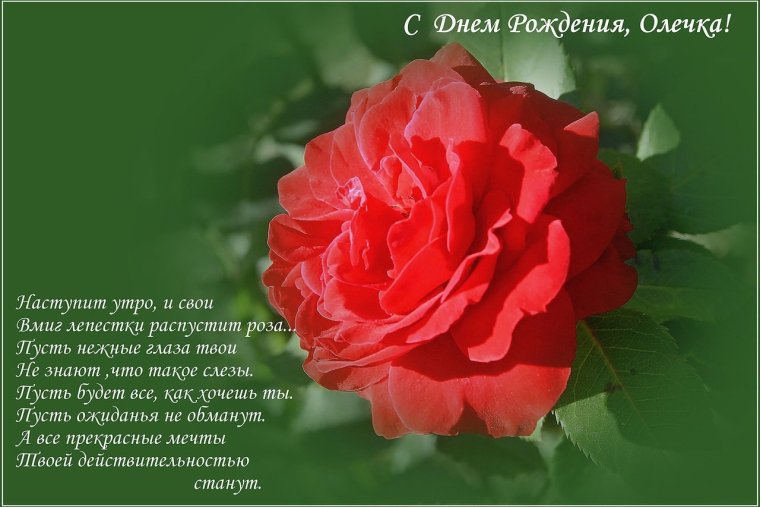 Поздравления с днём рождения с именем Ольга