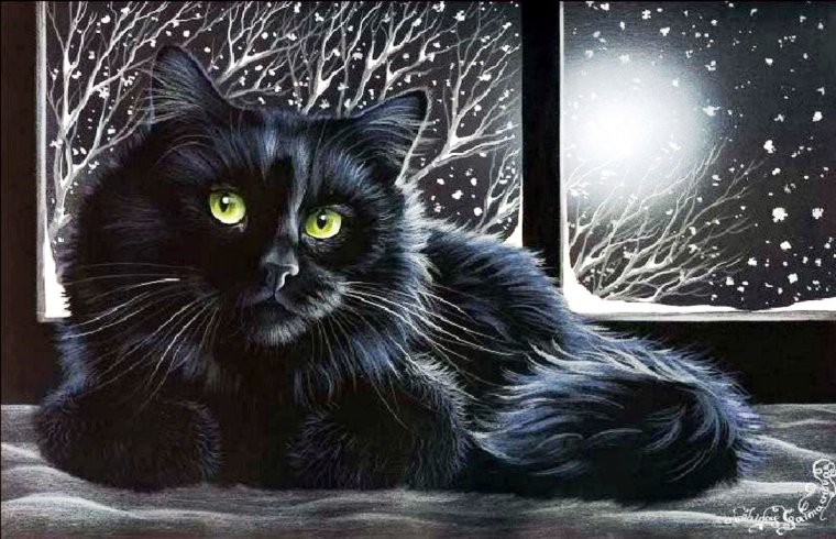 Пятница 13 черный кот