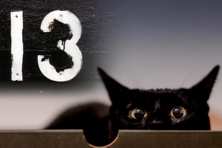 Кот ночью