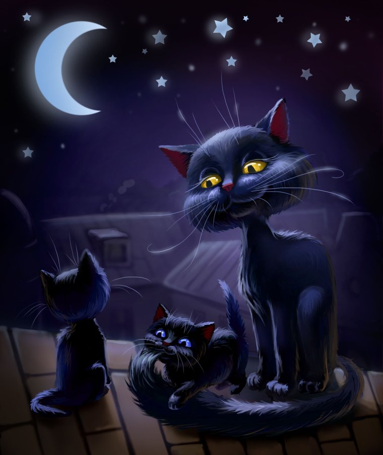 Пятница 13 кошка