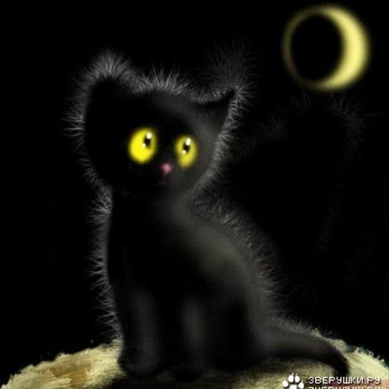 Кот ученый