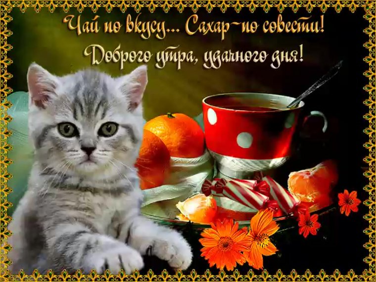 Анимационные поздравления с добрым утром