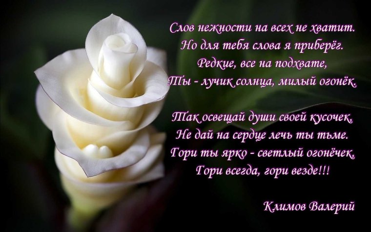 Спасибо друзья