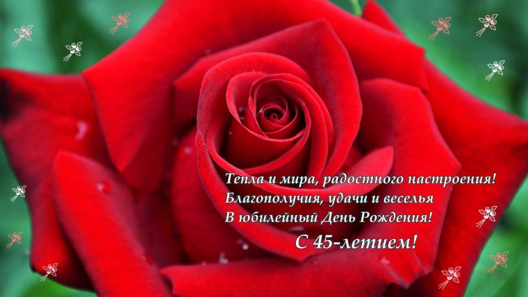 С юбилеем 45 лет женщине