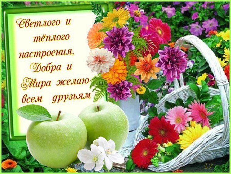 Пожелания счастья и добра