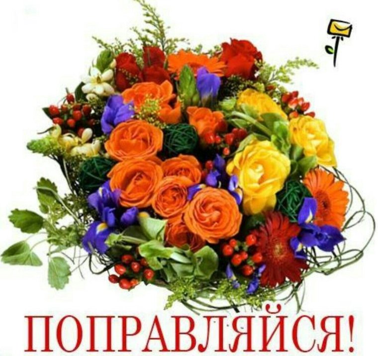 Скорейшего выздоровления