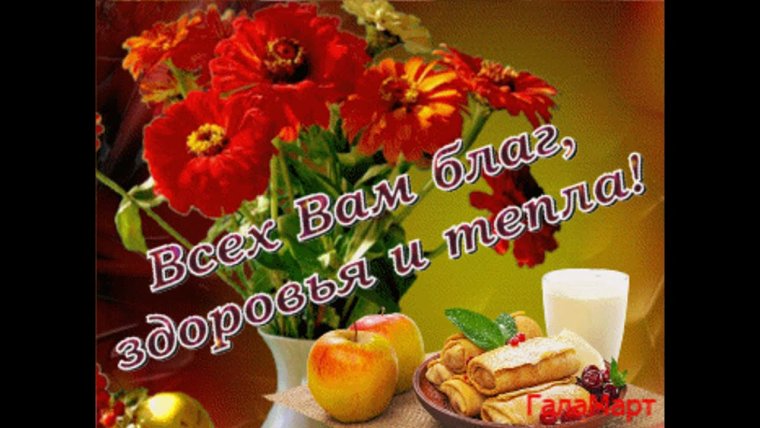 Лемон зризантема Хризантема лимон