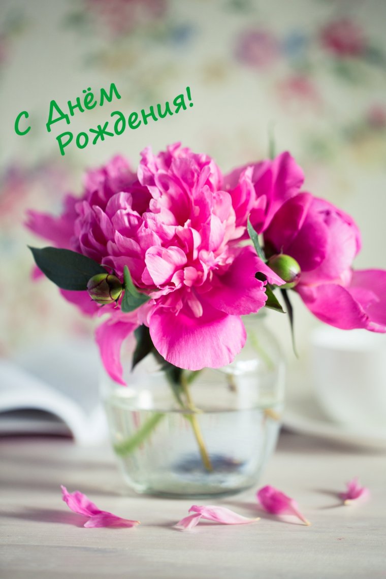 Нежный цветок