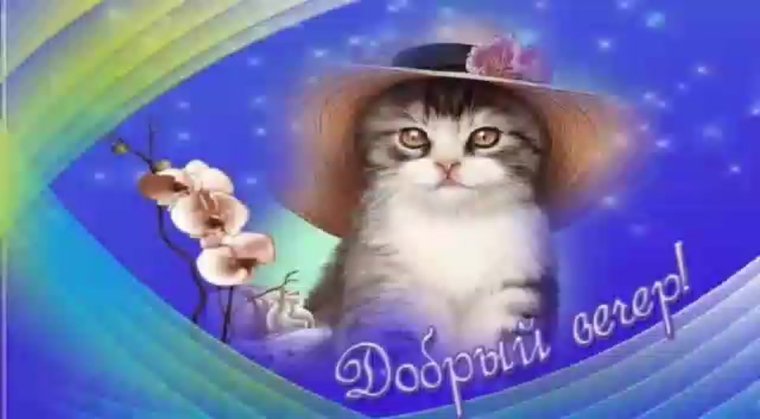Добрый вечер картинки
