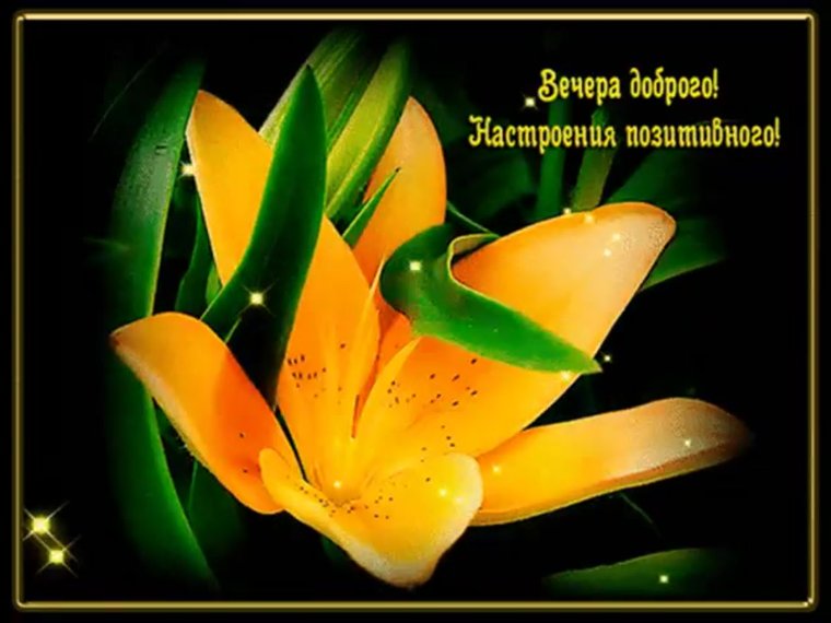Позитивные открытки с добрым вечером