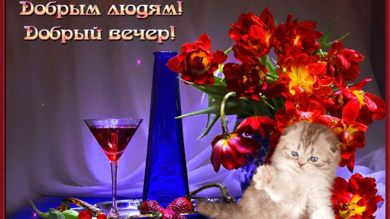 Поздравление с добрым вечером