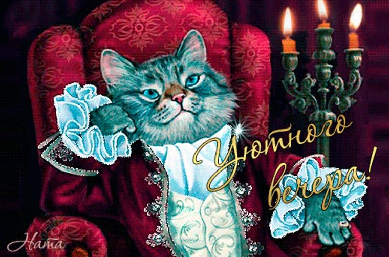 Доброго зимнего вечера с котятами