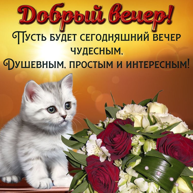 Поздравления с добрым вечером прикольные