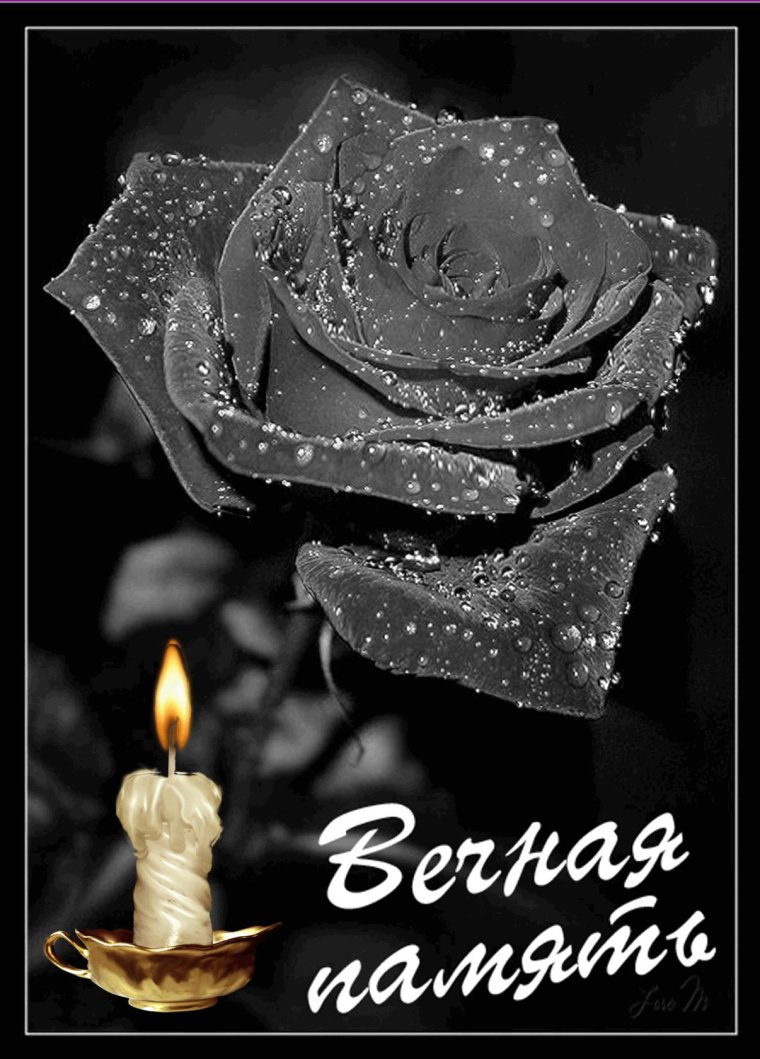 Светлая память гиф