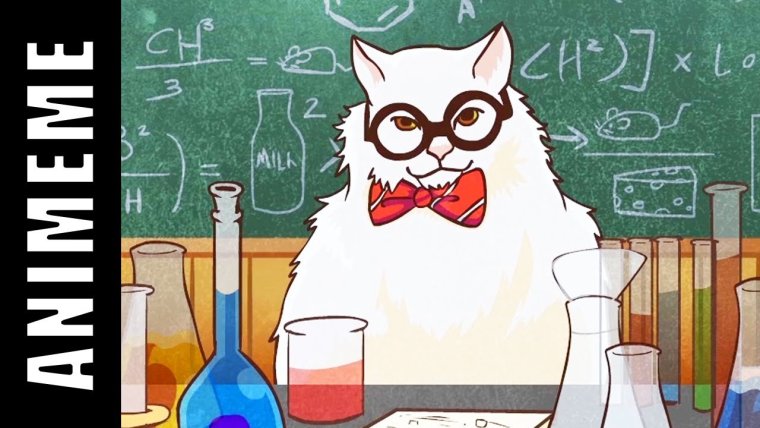 Котик и химия