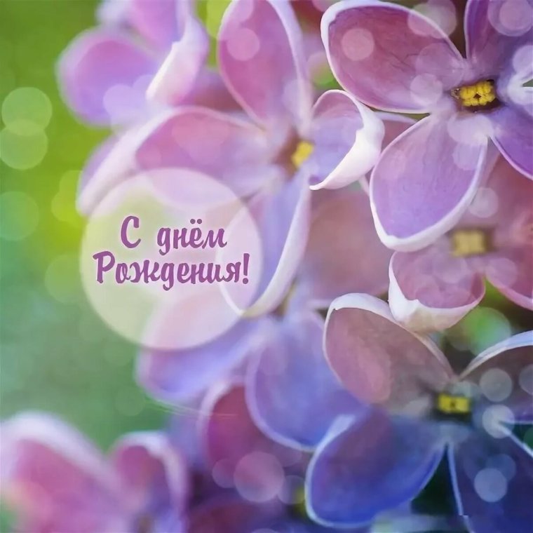 Поздравления с днем рождения цветы