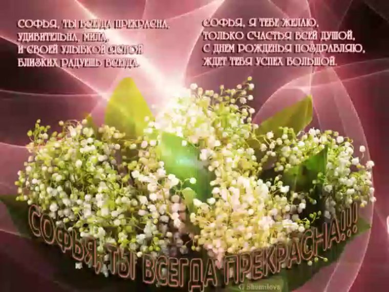 Поздравления с днём рождения Софье