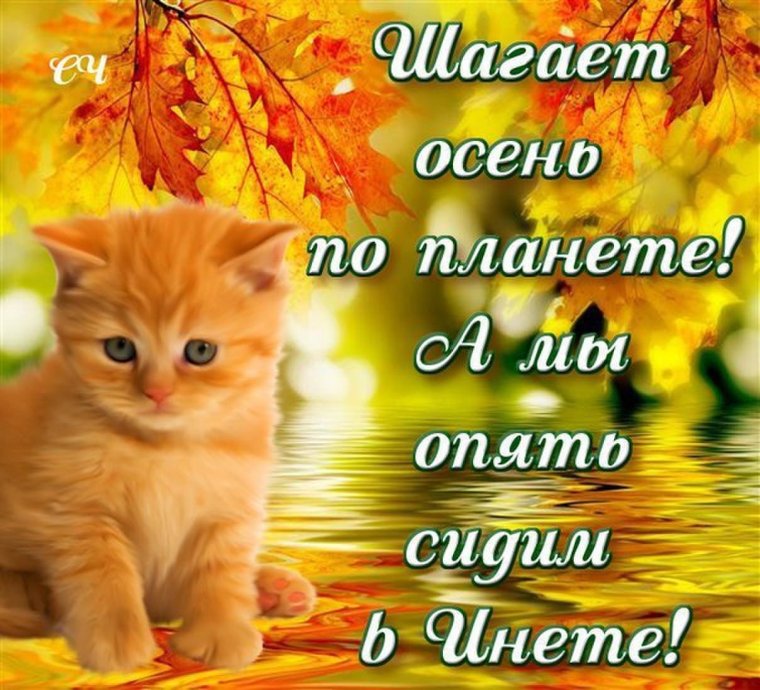 Красивые осенние пожелания