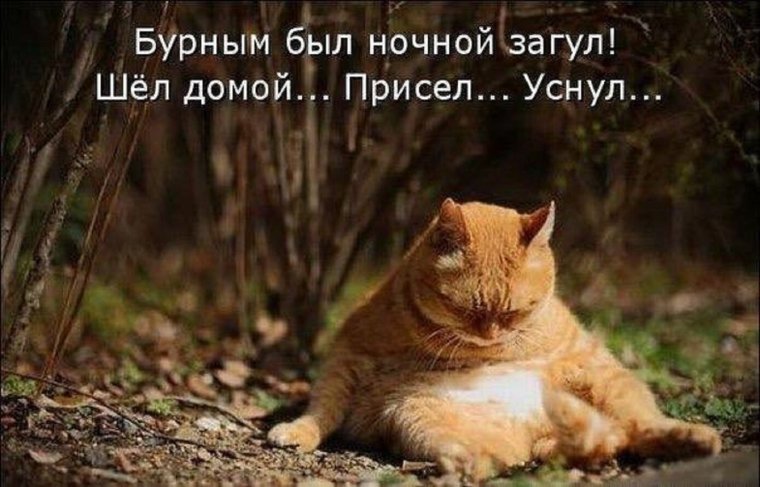 Девушка осень
