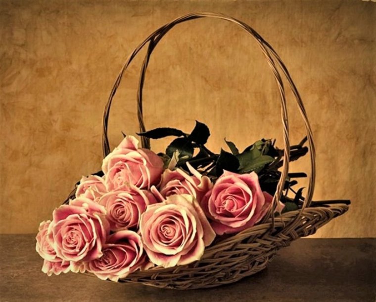 Красивые фото поздравления с днем рождения