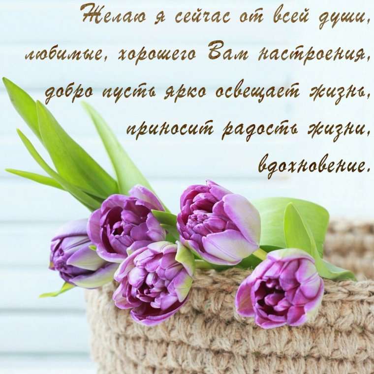 Стихи для женщины с днем рождения душевные и жизненные короткие