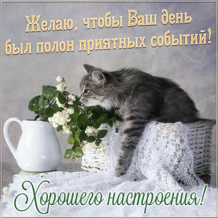 Хорошего спокойного дня