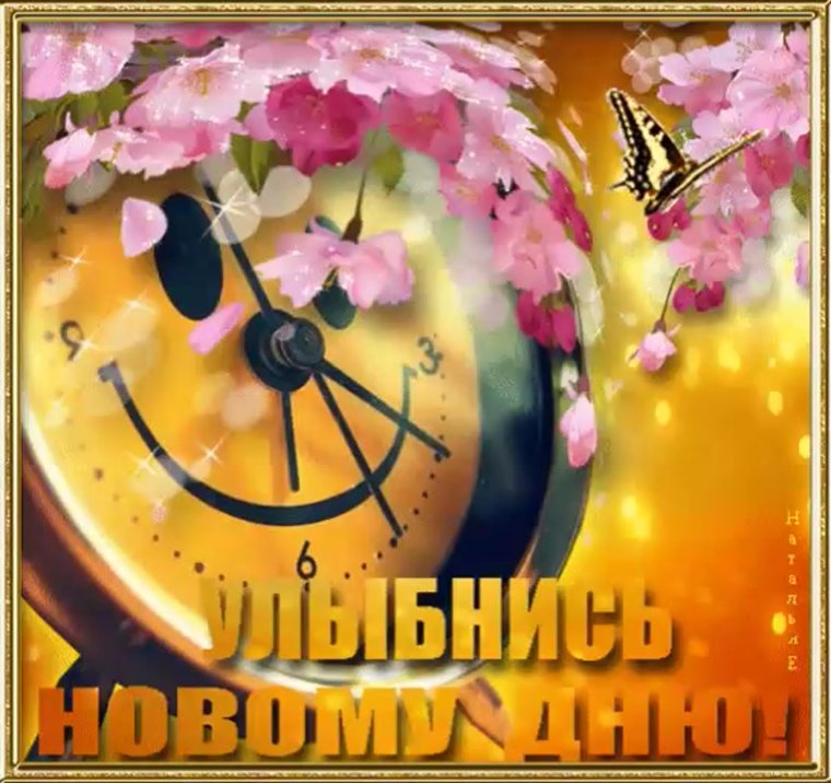 Здравствуй, новый день!