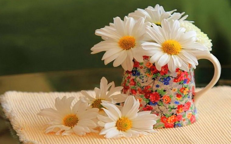 Прекрасного дня ромашки