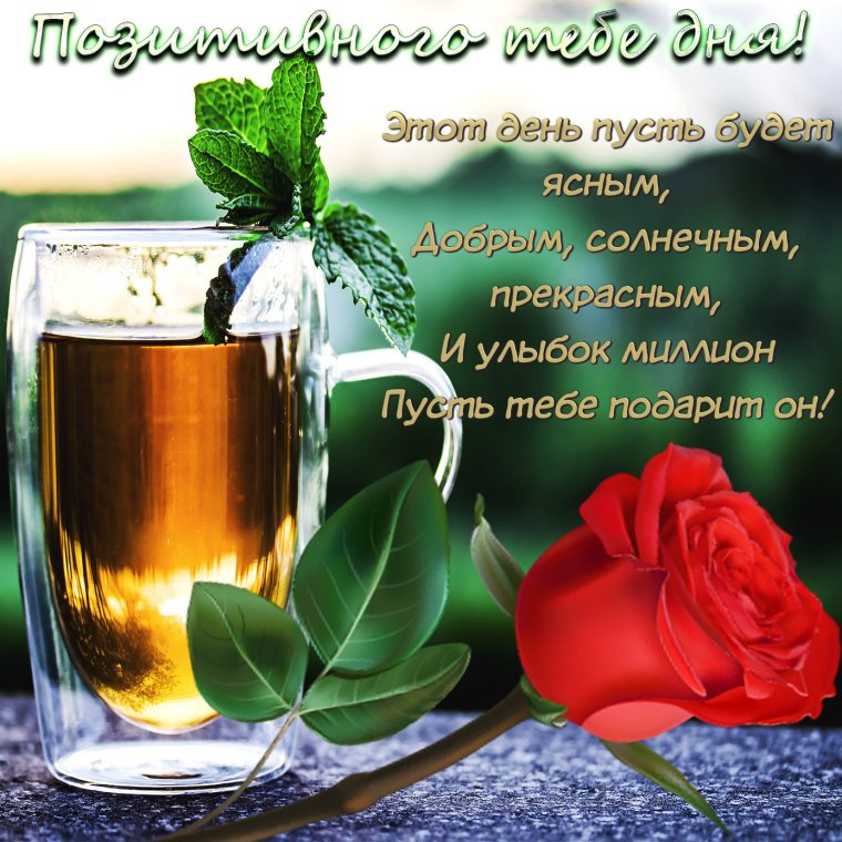 Открытка добрый день для мужчины
