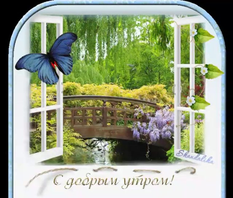 Доброе летнее утро анимация