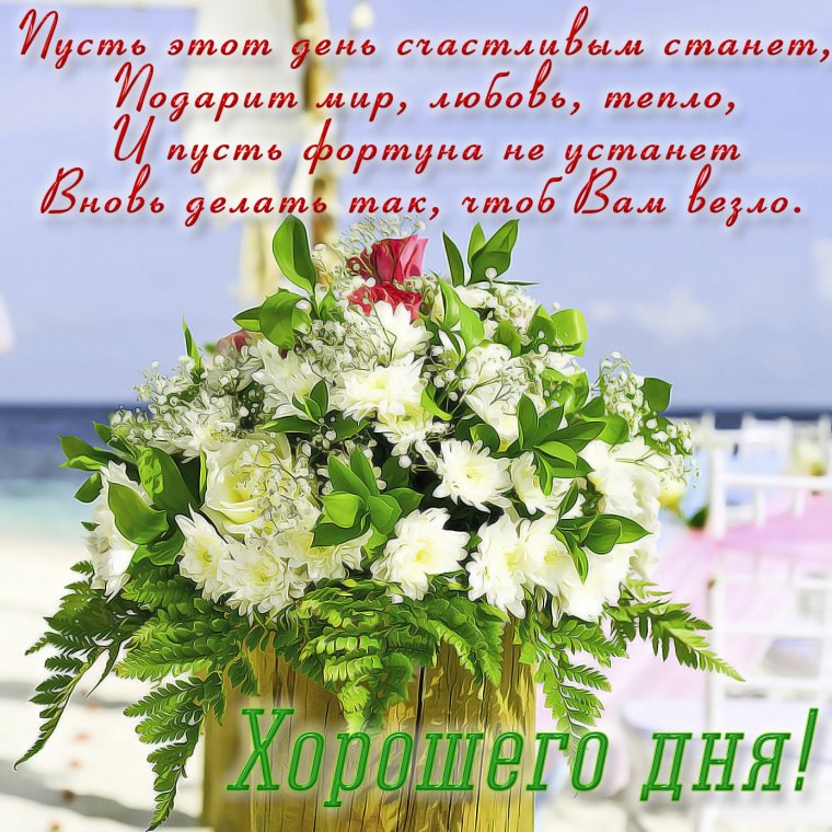 Здравствуй, новый день!