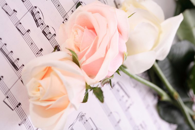 Открытки с нотами и цветами