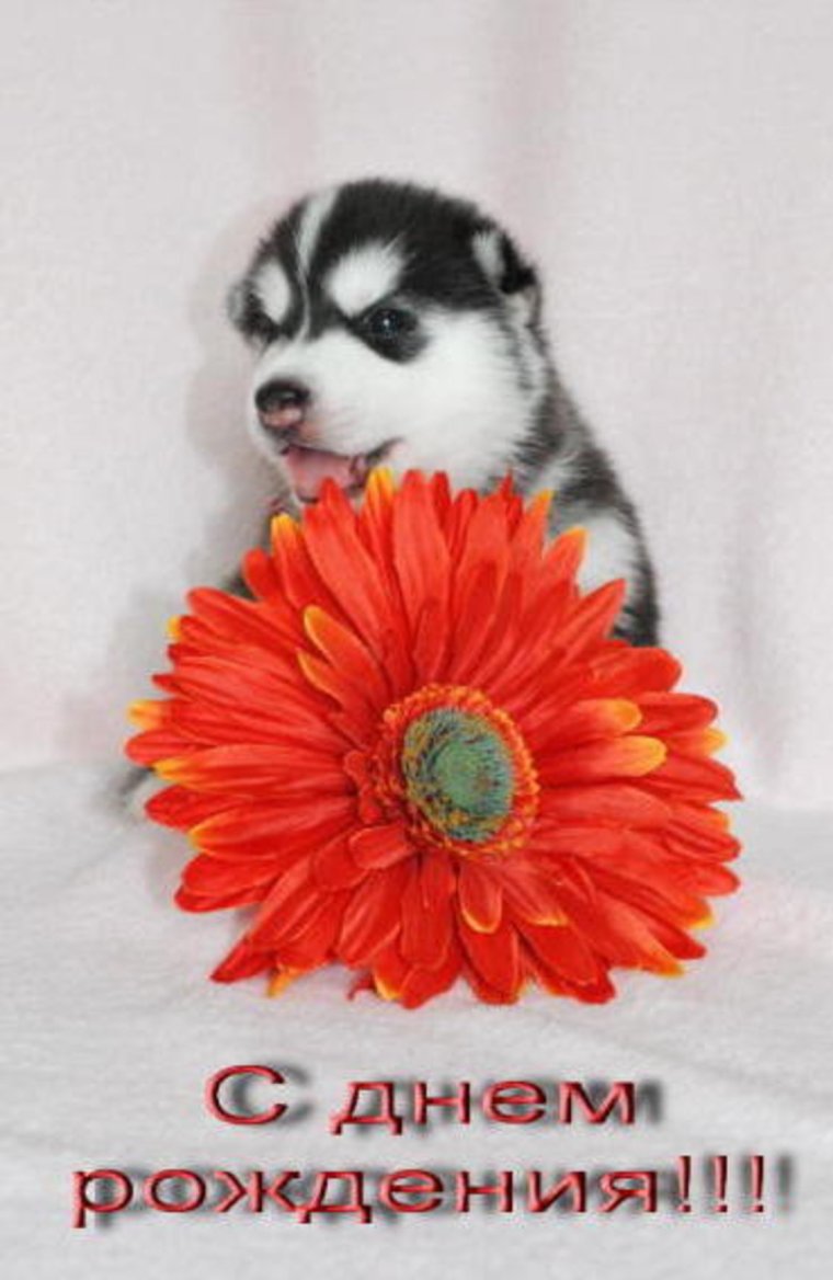 Леночка с юбилеем 50