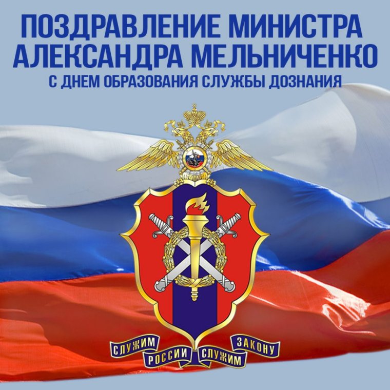 Дознание в органах внутренних дел учебник
