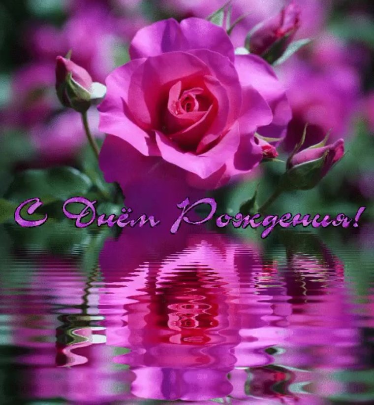 Поздравить Настеньку с днем рождения