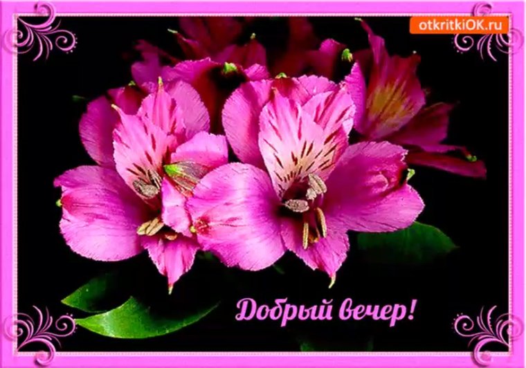 Открытки добрый вечер
