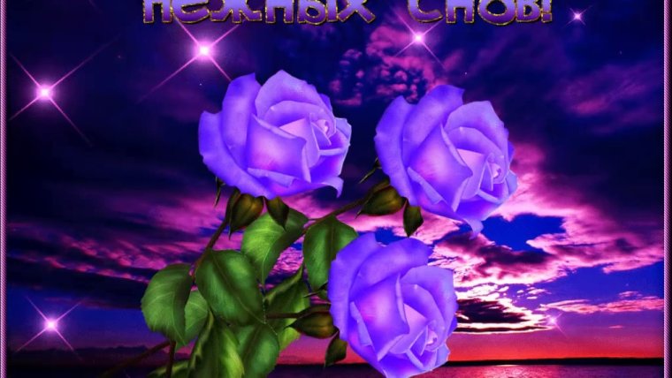 Нежный сон