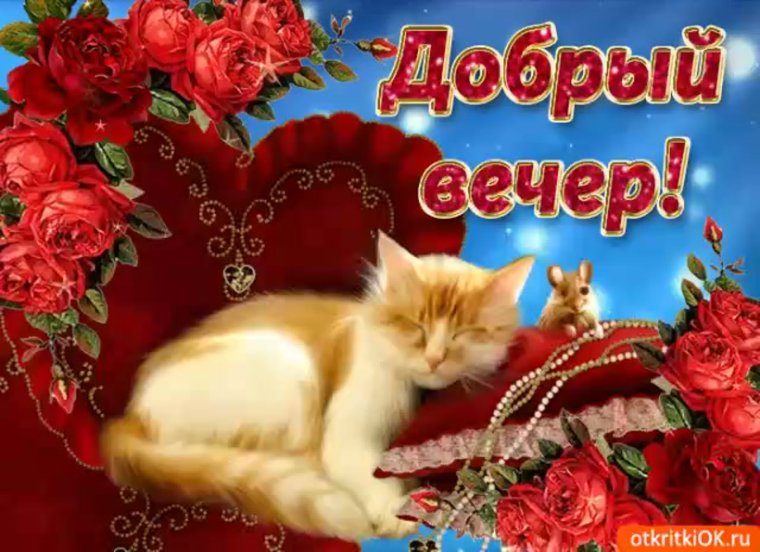Добрый вечер Стикеры красивые