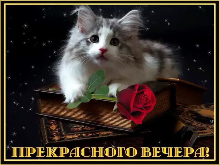 Прекрасного вечера