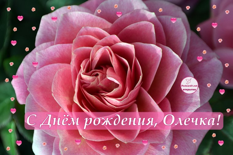 С днём рождения Ольга